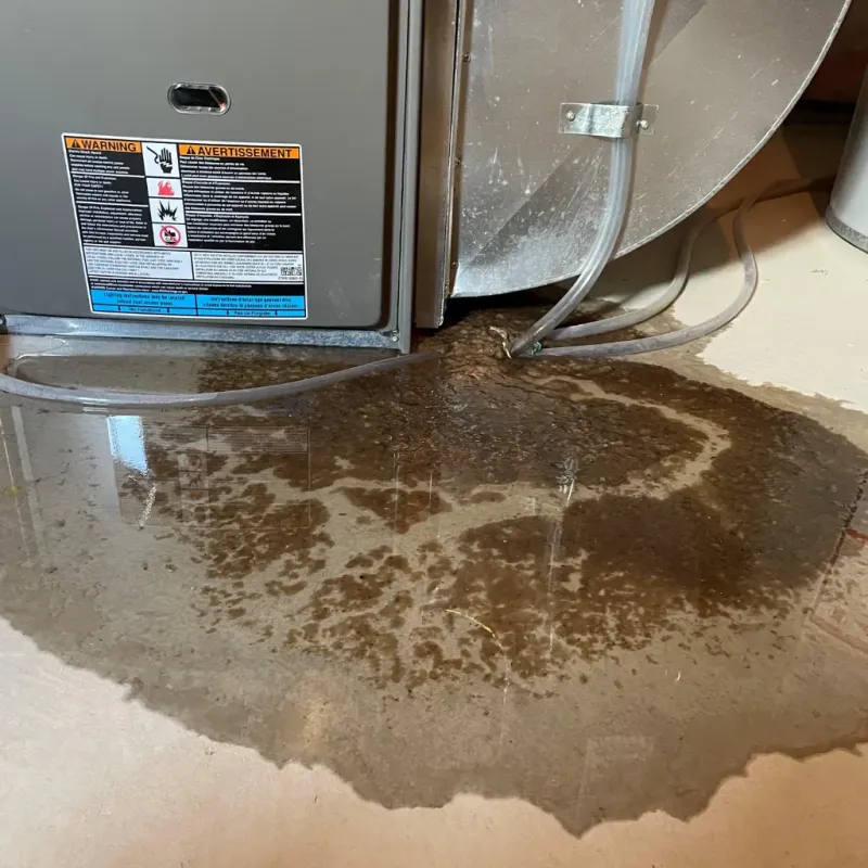 Appliance Leak Cleanup in Enumclaw, WA